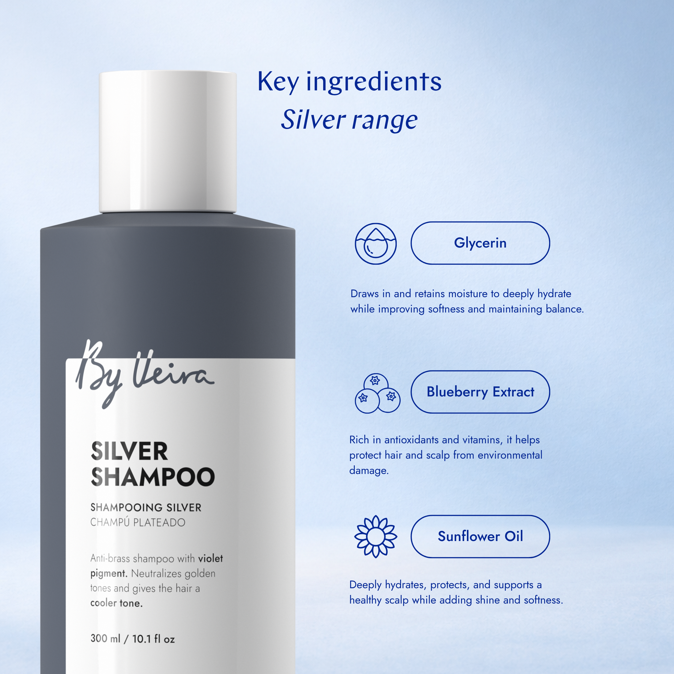 Silver Leave-in treatment